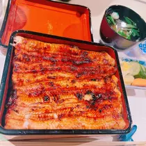 向日葵 ひまり