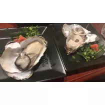 美月