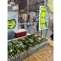 花咲 みらい