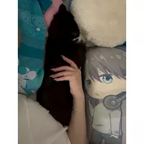サキ