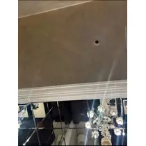 空条 しいな