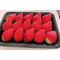 りょう