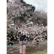 はな