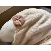 立華 碧