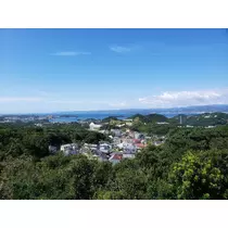 荒木 ナツミ