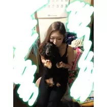 りえ