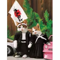ゆか