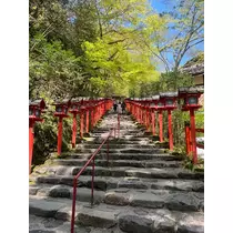 姫花