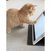 えみ