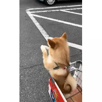 あかね