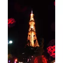 七星 夏純