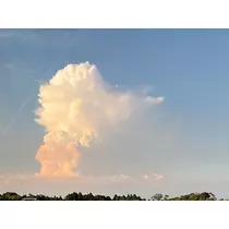 りょう