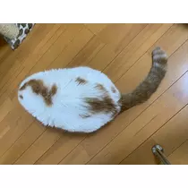 れみ