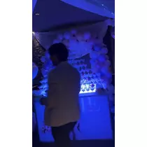 雛鶴 めい