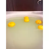 柊 まりん