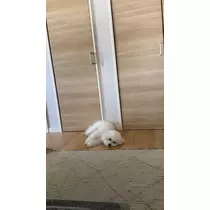 ミナミ