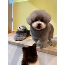 うづき ふうか