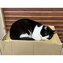 結城 かなの