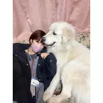 りか
