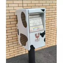 紫音