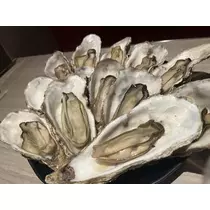 七星 夏純