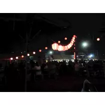夢咲 さくら