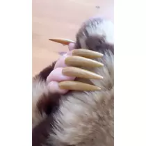 えりなボインボイン