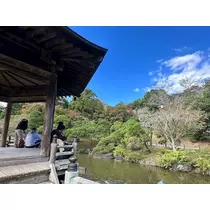 あいら