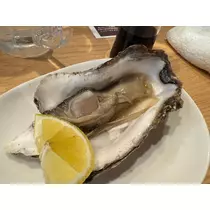 華宮 りりあ