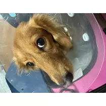 あい