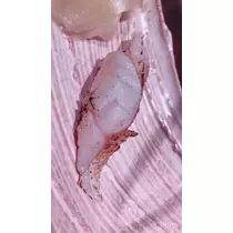 美波 なつ