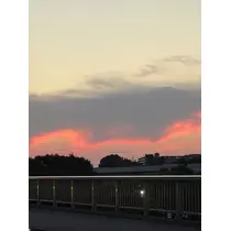 せら