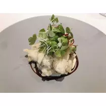 紫月 あやか