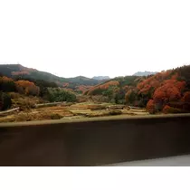 ななこ
