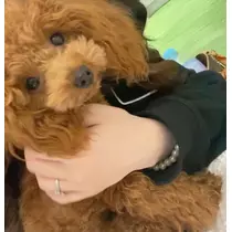 えま