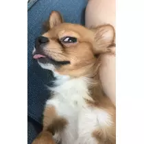 ユカ
