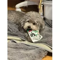 うづき ふうか