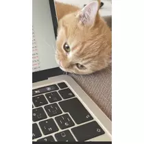 えみ