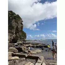えり