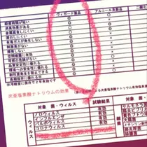 紫音