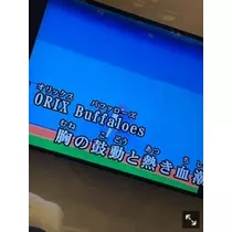 足立 はな