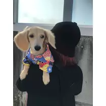みき