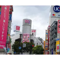 紫音