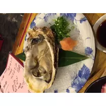 妃 えりか