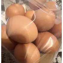ひな