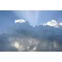 星野 大空