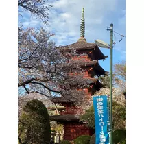 りん