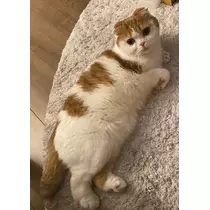 るな