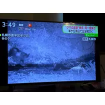 佐倉 里緒