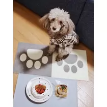 荒木 ナツミ